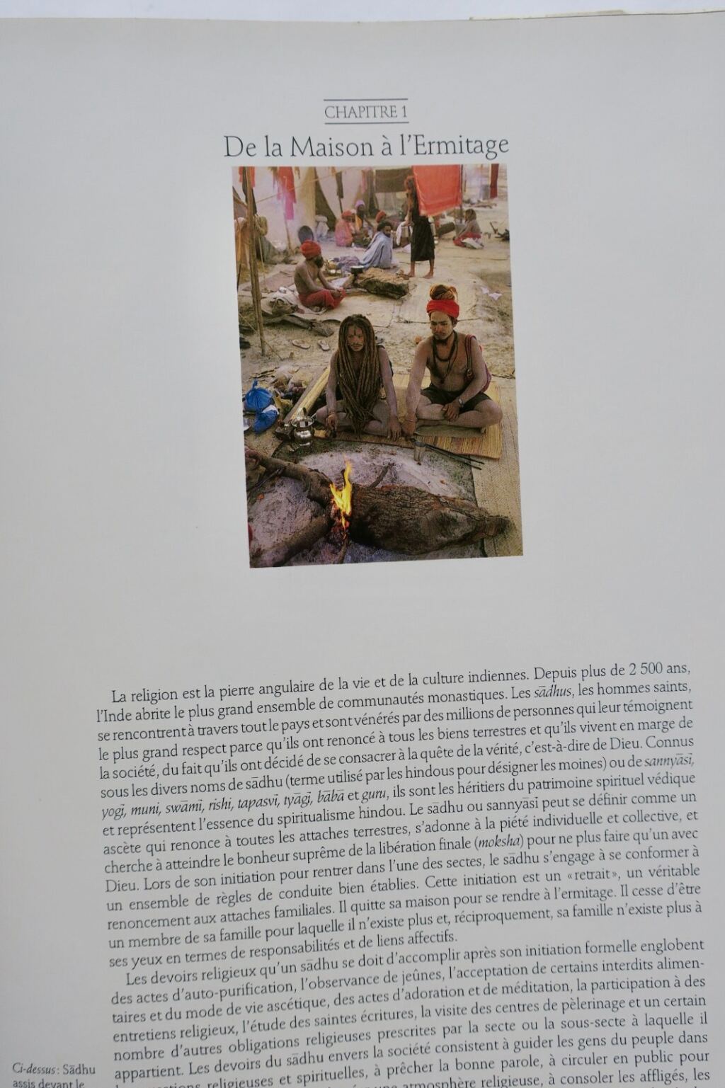 Inde sacrée des Sadhus