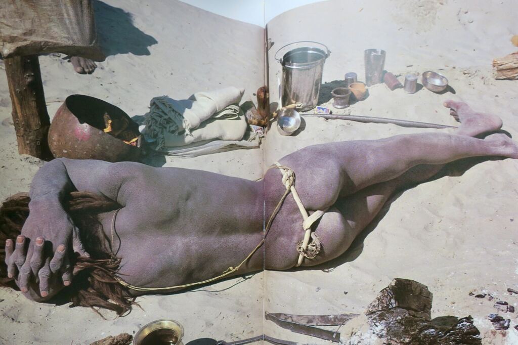 Inde sacrée des Sadhus