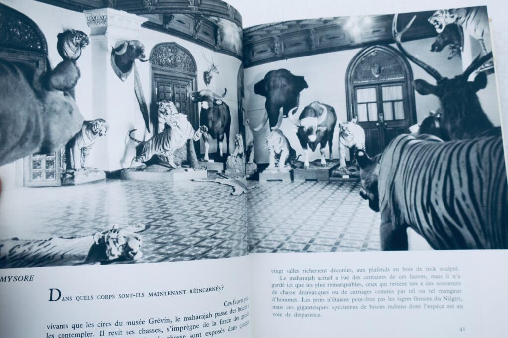 Ein Einblick in die Welt der Maharajas