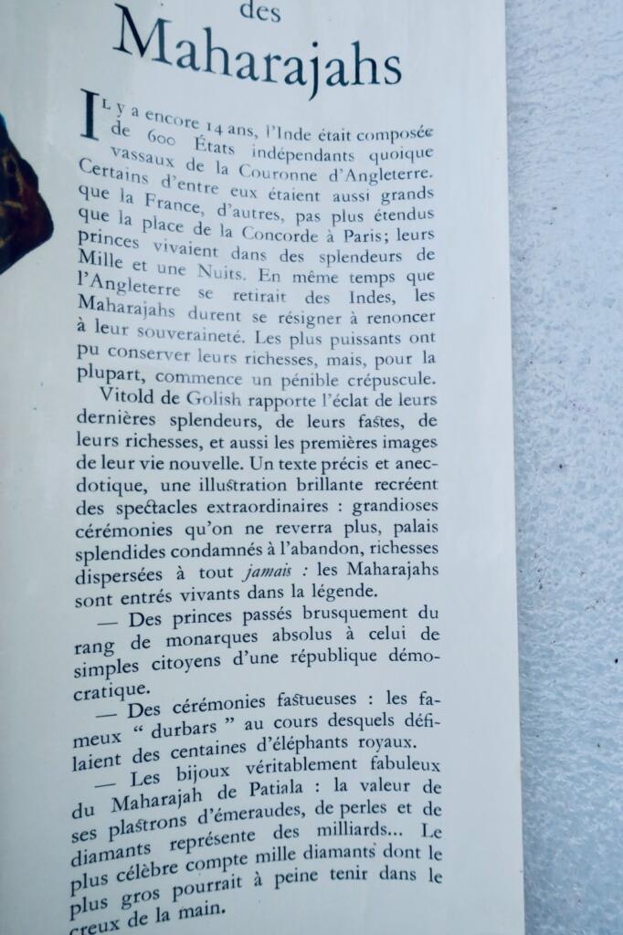 Ein Einblick in die Welt der Maharajas