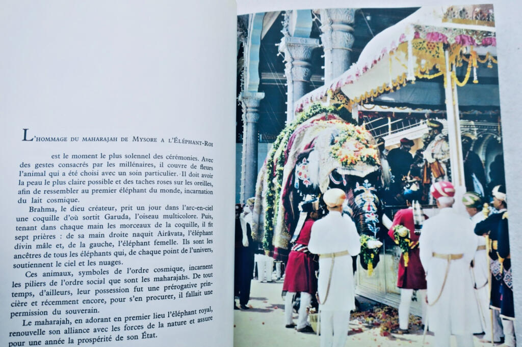 Ein Einblick in die Welt der Maharajas
