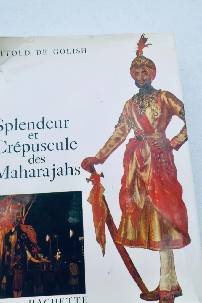 Ein Einblick in die Welt der Maharajas