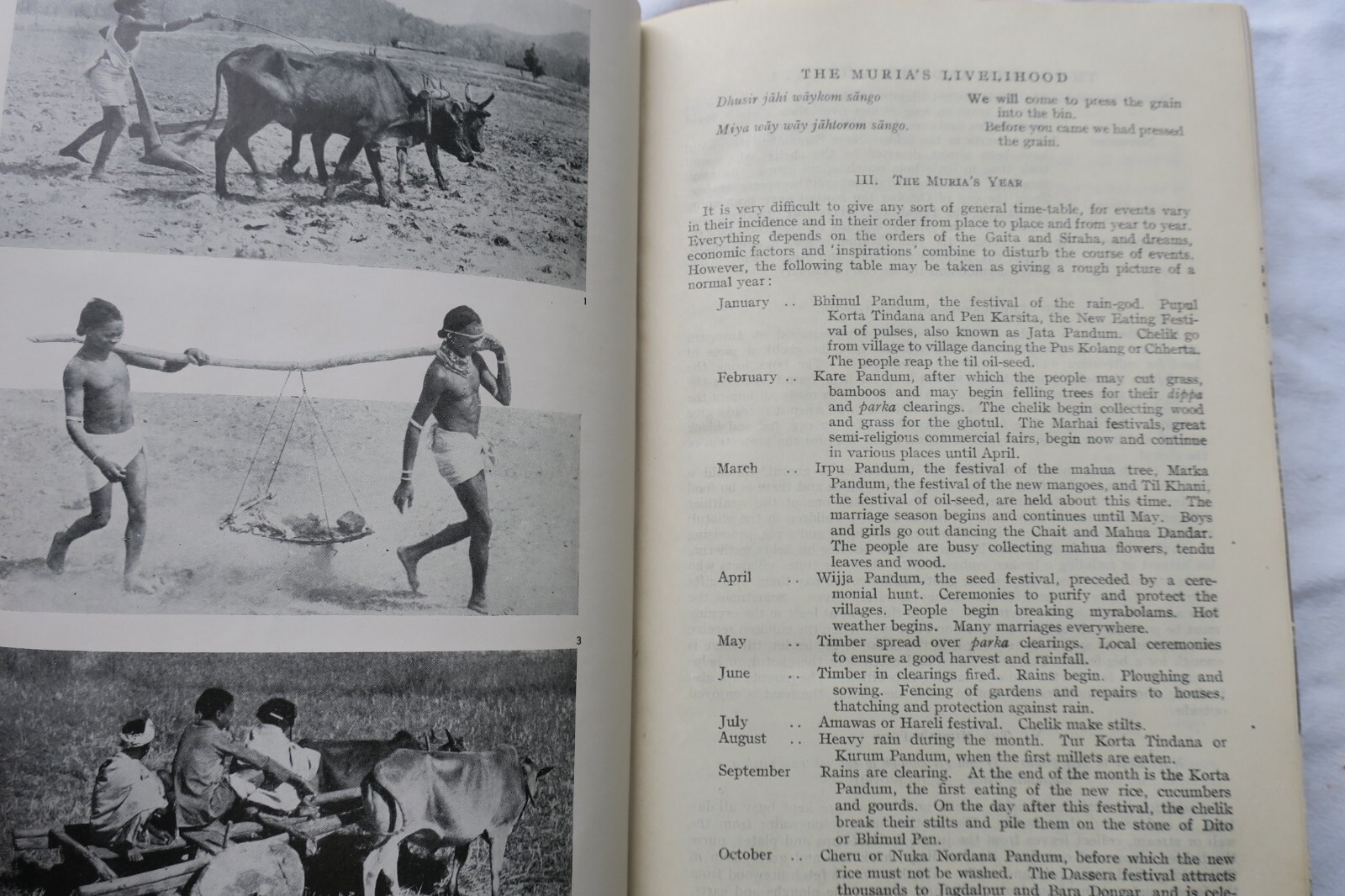 Exploring Muria Culture - Image 6