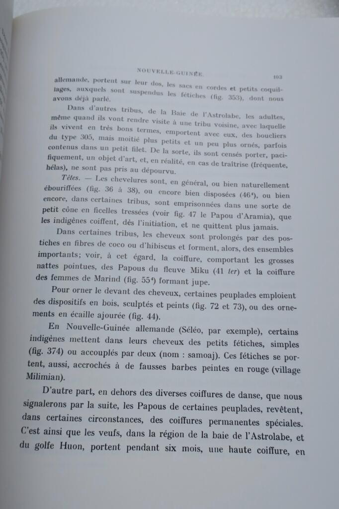 Indigene Kunst Neuguineas