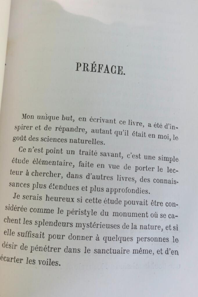 On the Infinitely Large and Infinitely Small