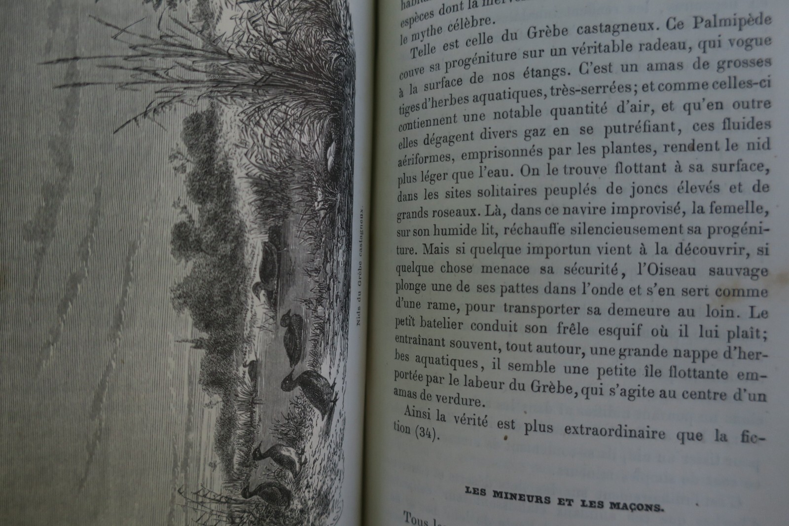 Exploring the vast and the minuscule - Image 10