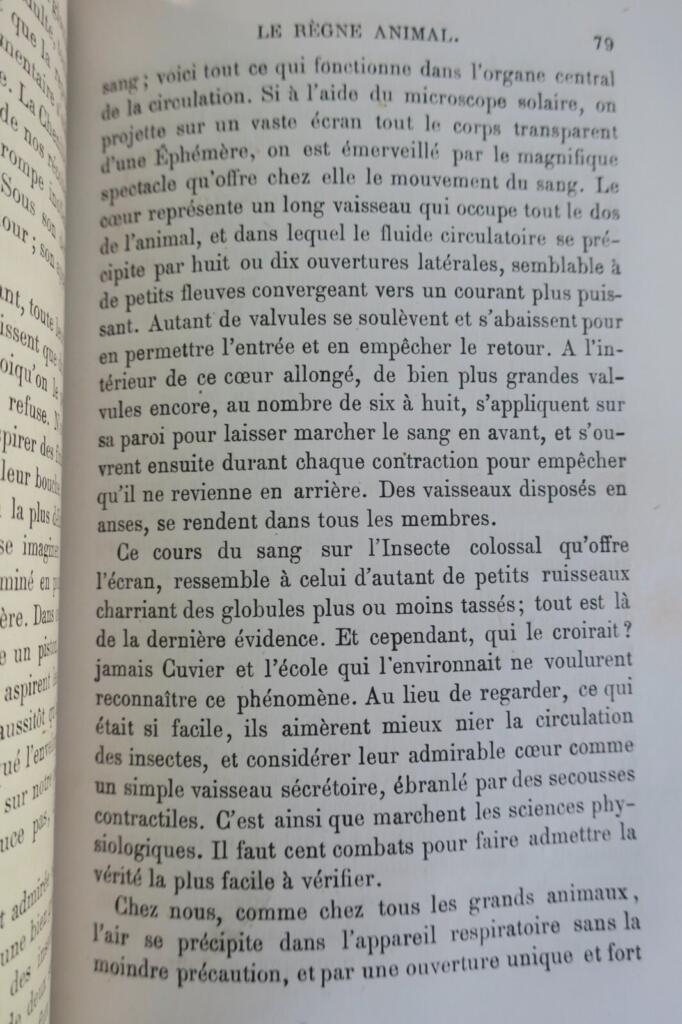 On the Infinitely Large and Infinitely Small