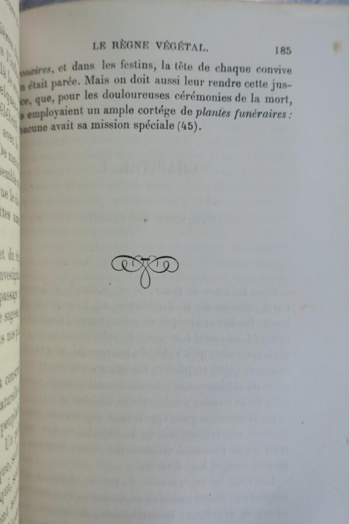 On the Infinitely Large and Infinitely Small