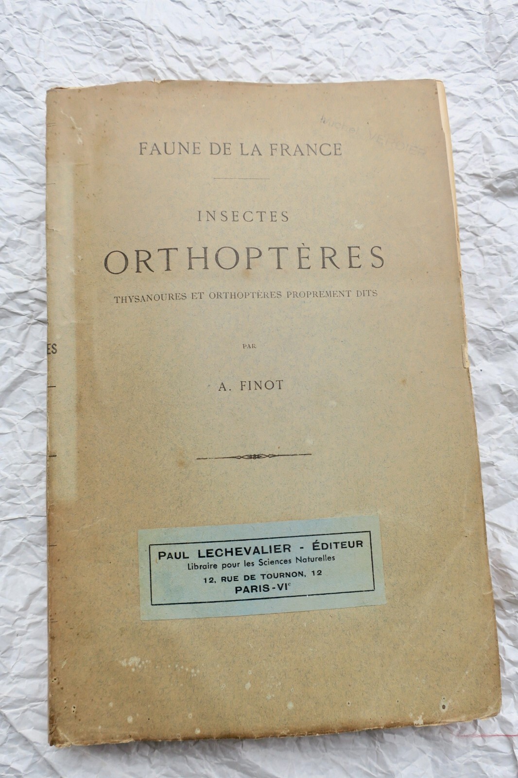 Insectes Orthoptères, Thysanoures et Orthoptères 1890 - La Librairie Antique