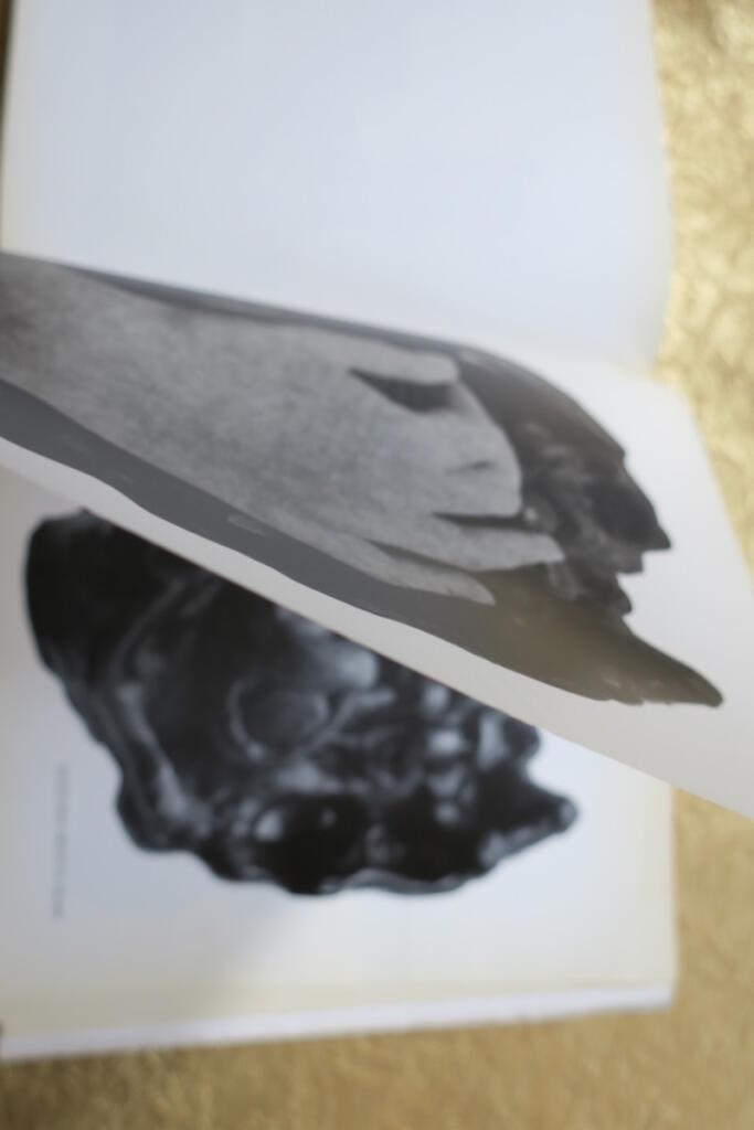 Ipoustéguy Ausstellungskatalog November 1966