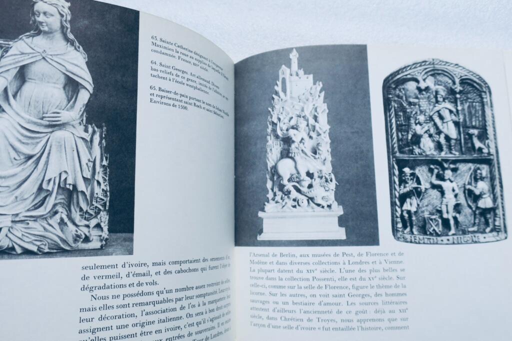 Pleasure of Images in Ivory
