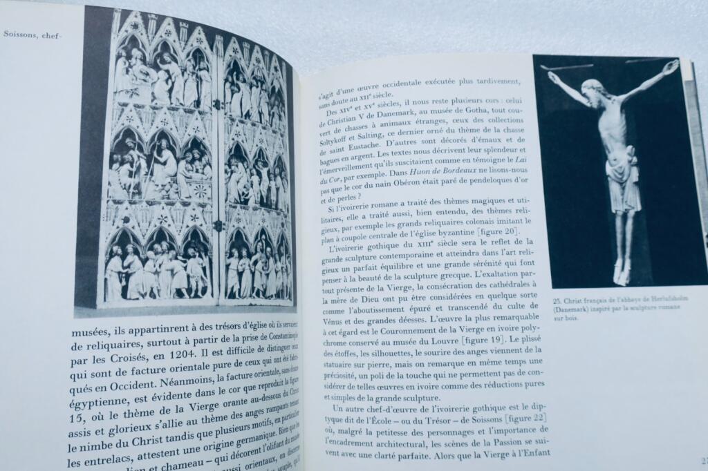 Pleasure of Images in Ivory