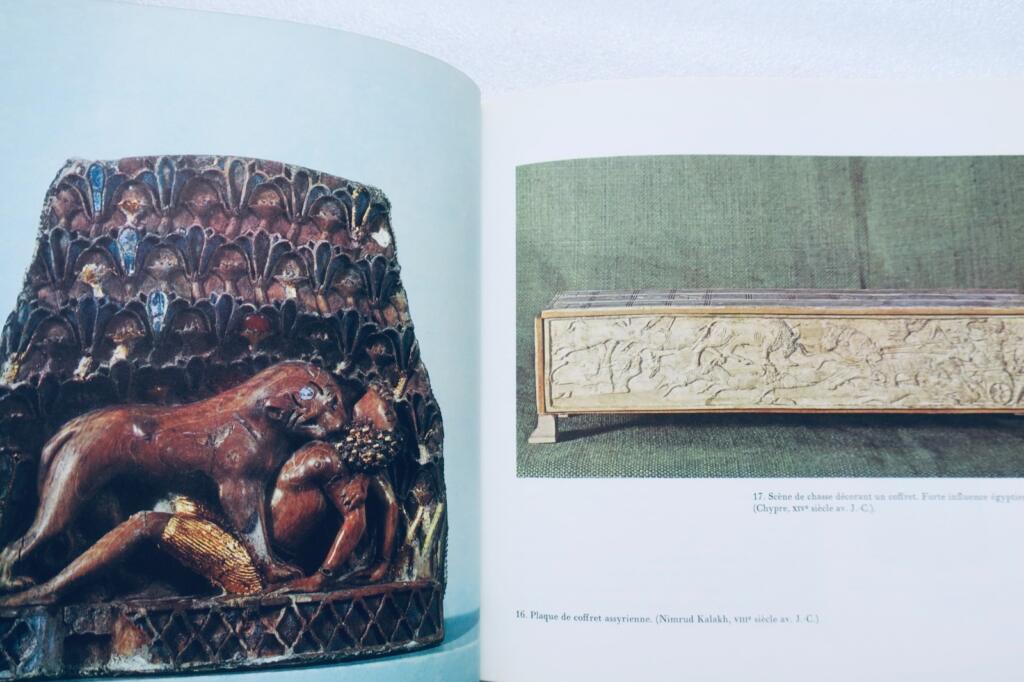 Pleasure of Images in Ivory
