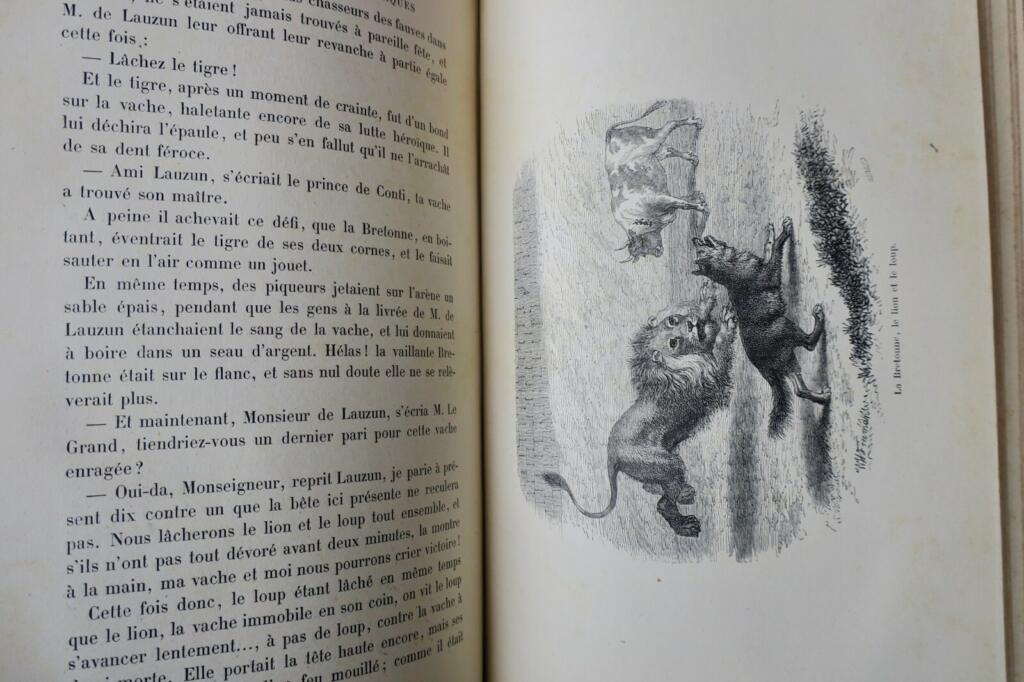 Literarische und historische Gespräche von 1884