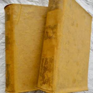Richardsons Clarissa Harlowe mit Janins kritischem Essay