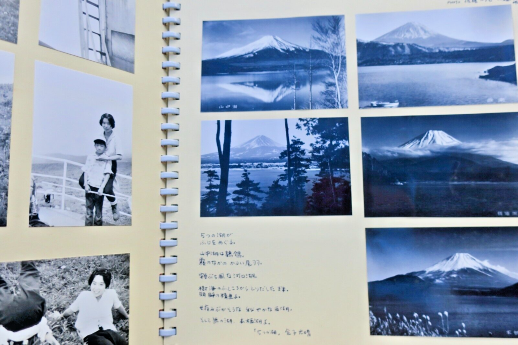 Japan Photo Albums 818 Analog Photos Silver