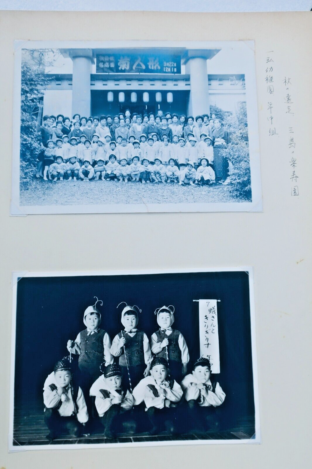 Japan Photo Albums 818 Analog Photos Silver – Image 7