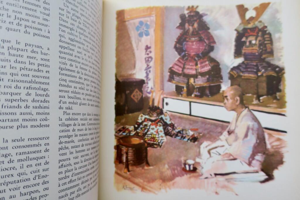 Japan - Ein Porträt in Farben
