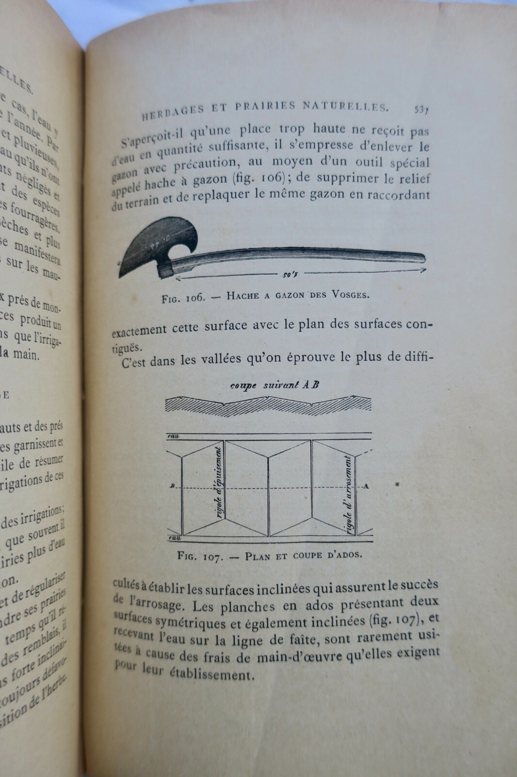 Natural Herbs and Meadows - Image 6