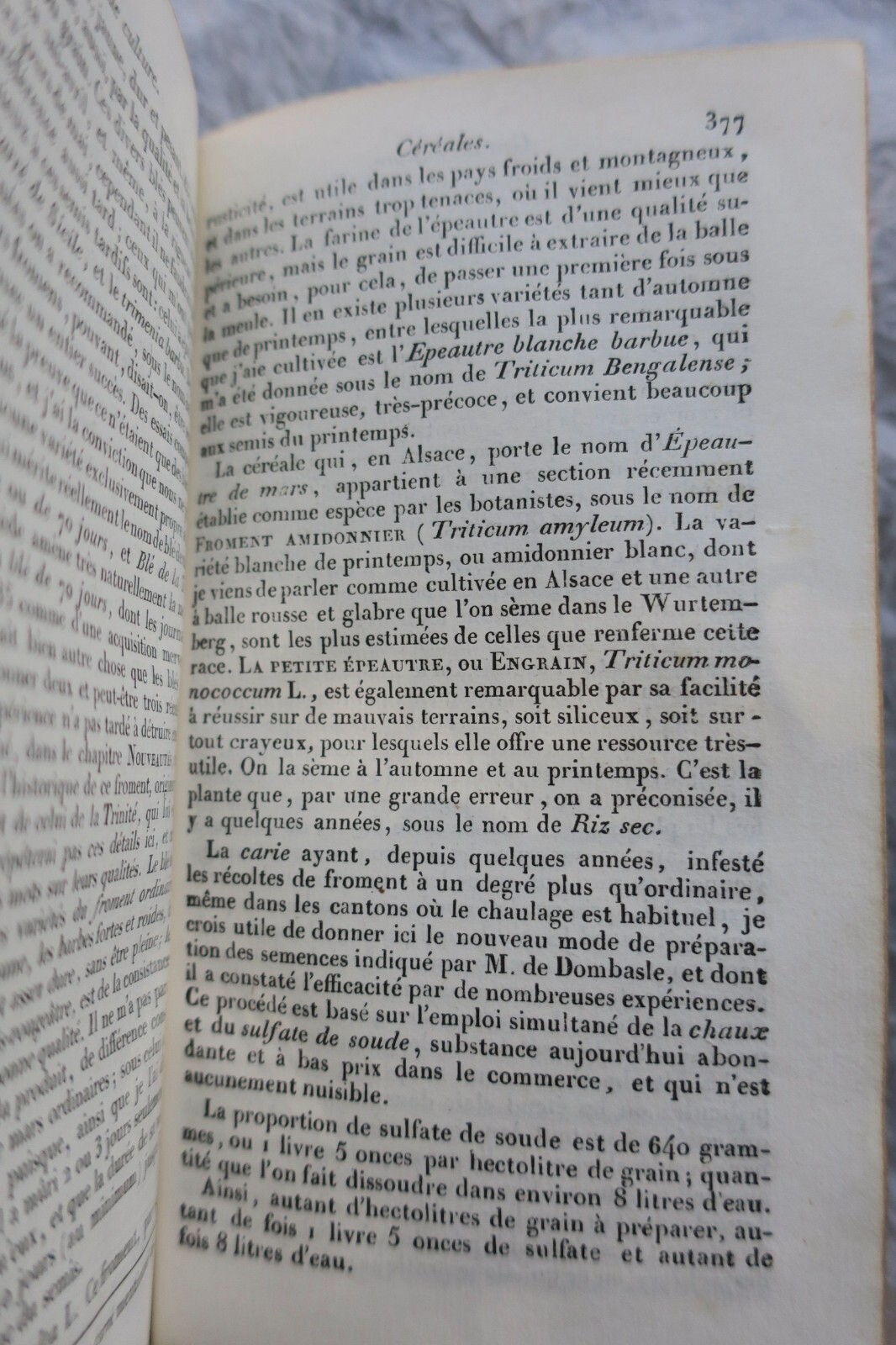 Agricultural calendar and gardening guide - Image 4