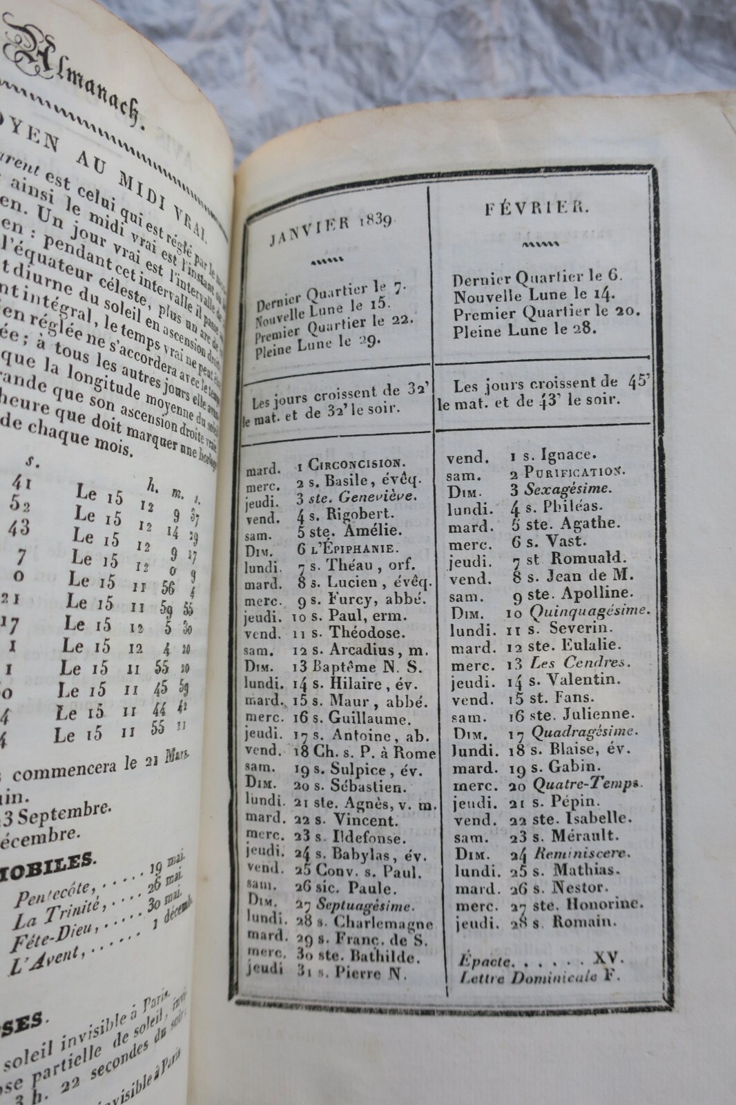 Agricultural calendar and gardening guide - Image 9