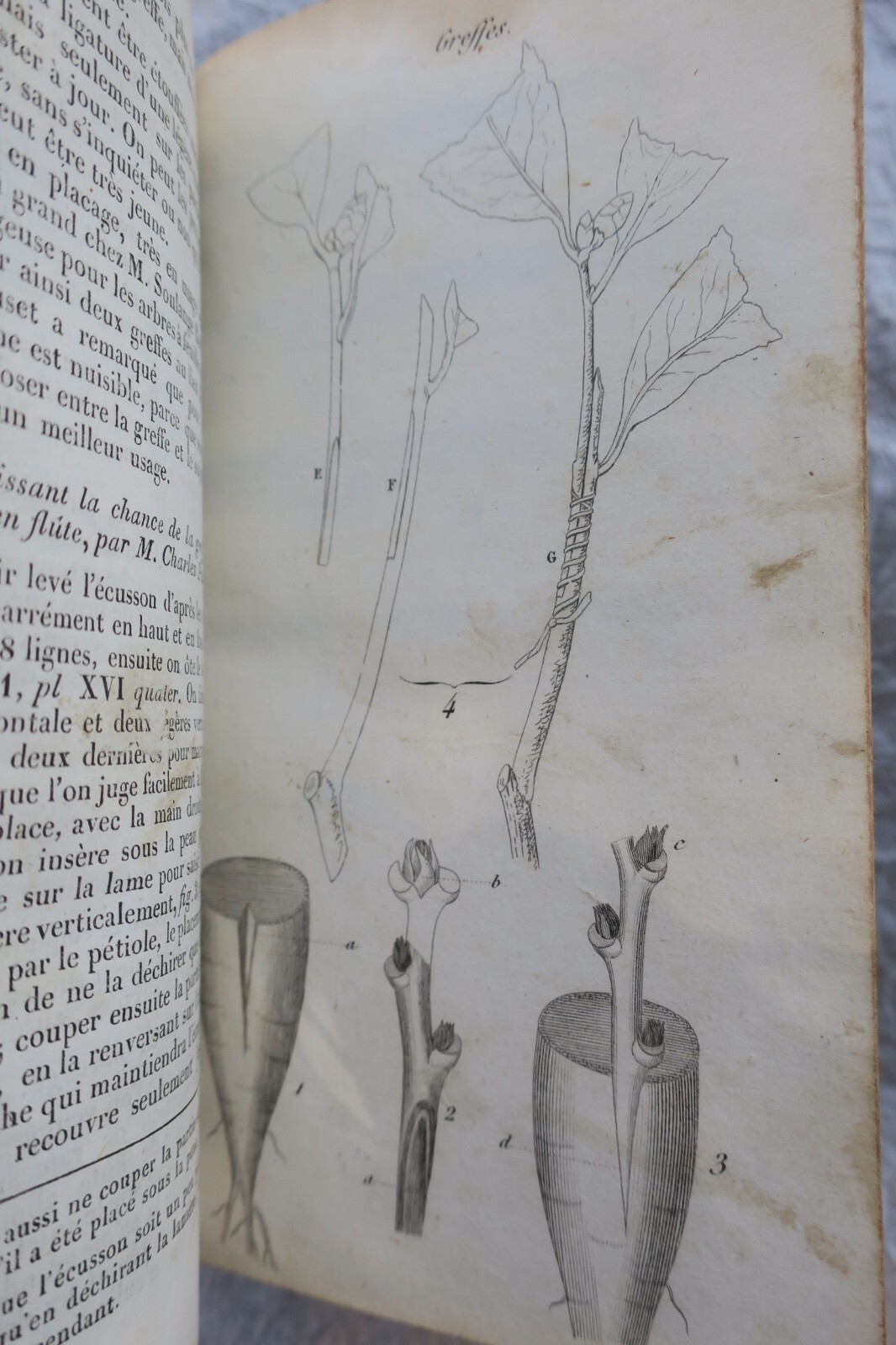Agricultural calendar and gardening guide - Image 8