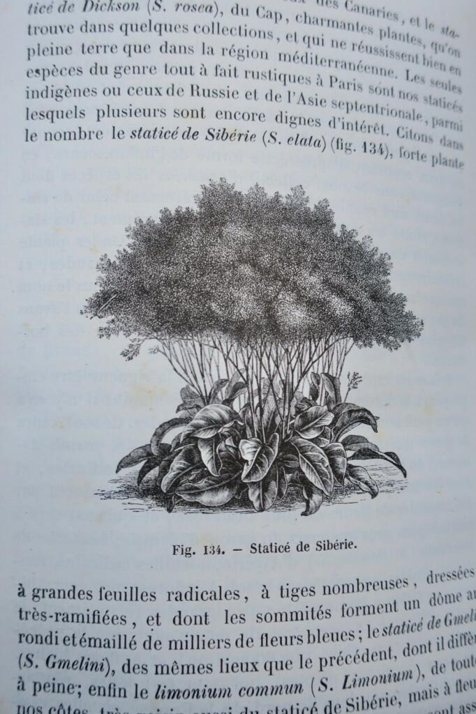 Jardin Decaisne Naudin Manuel de l&rsquo;amateur des jardins, Horticulture