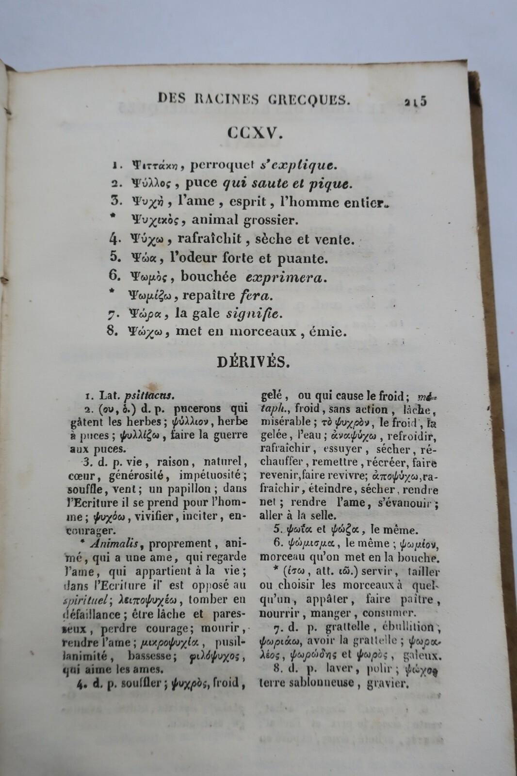 Greek Roots Reference Guide - Image 8