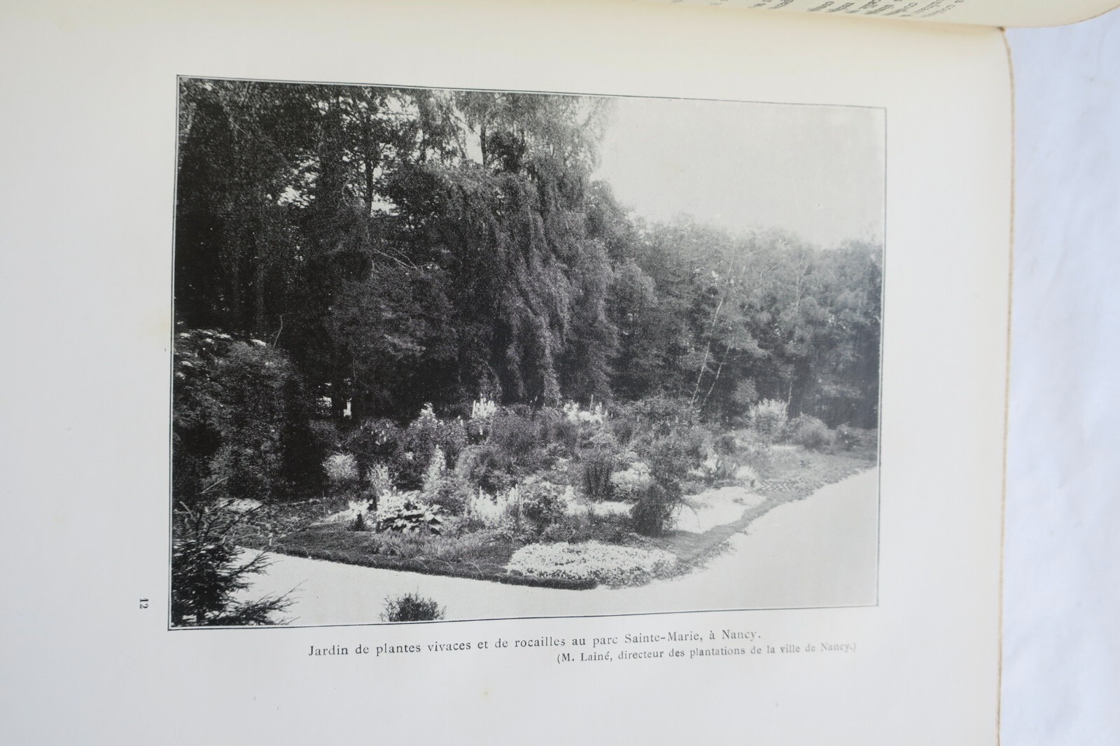 Gärten mit mehrjährigen Pflanzen - Image 7