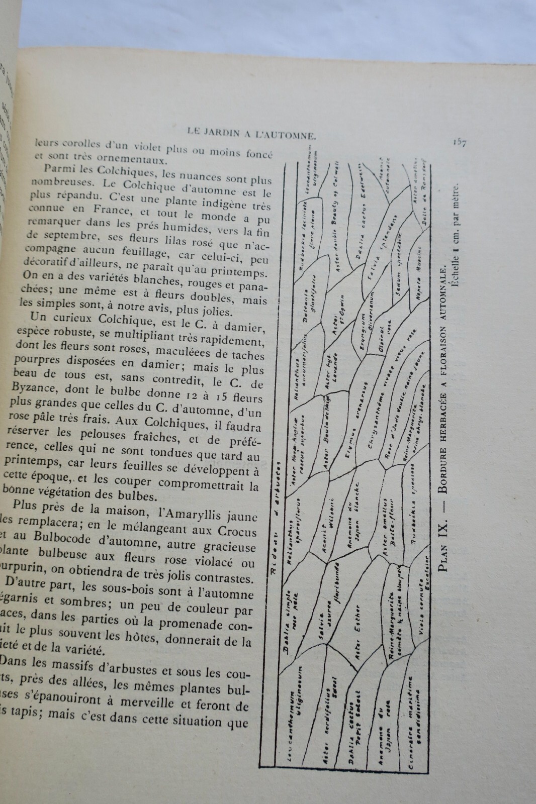 Gärten mit mehrjährigen Pflanzen - Image 6