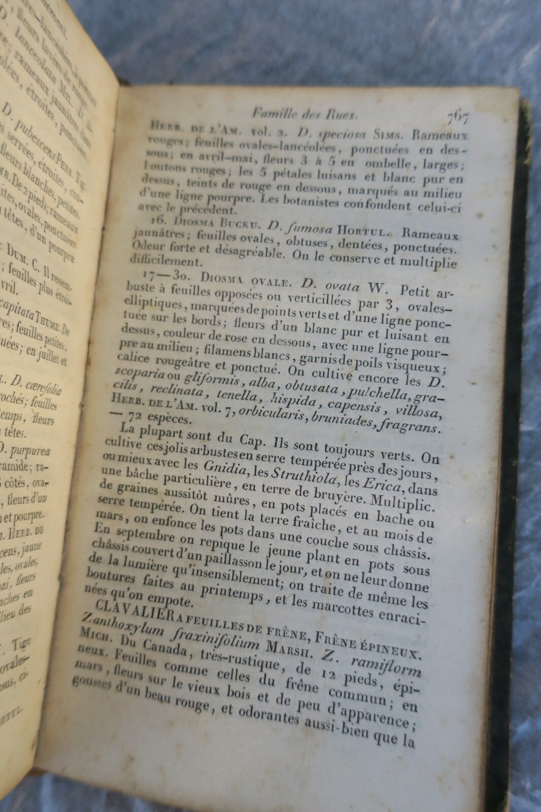 Der gute Gärtner – Vollständiger Jahresführer 1831 - Image 5