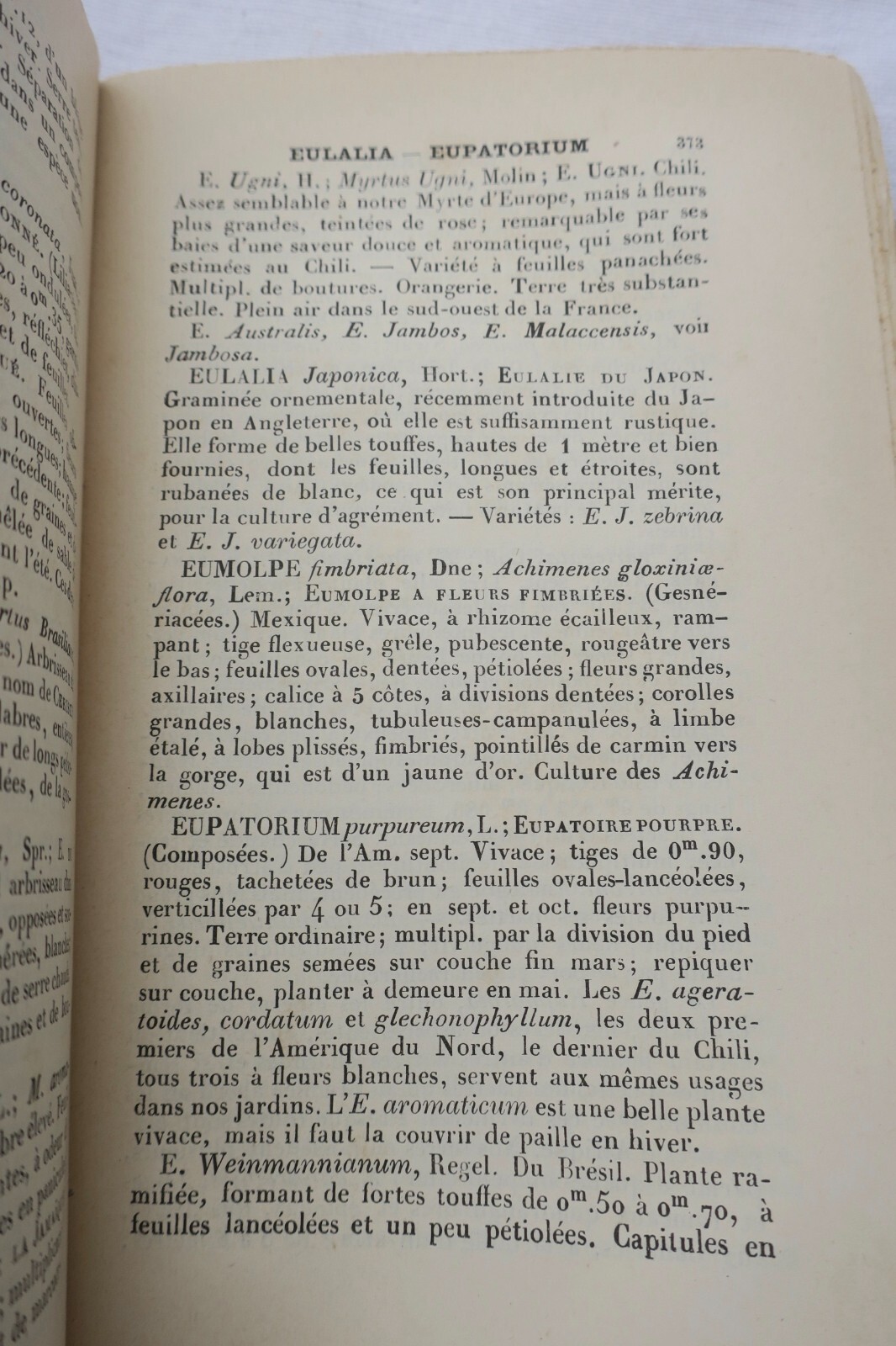 JARDIN le bon jardinier 1889 - Image 3