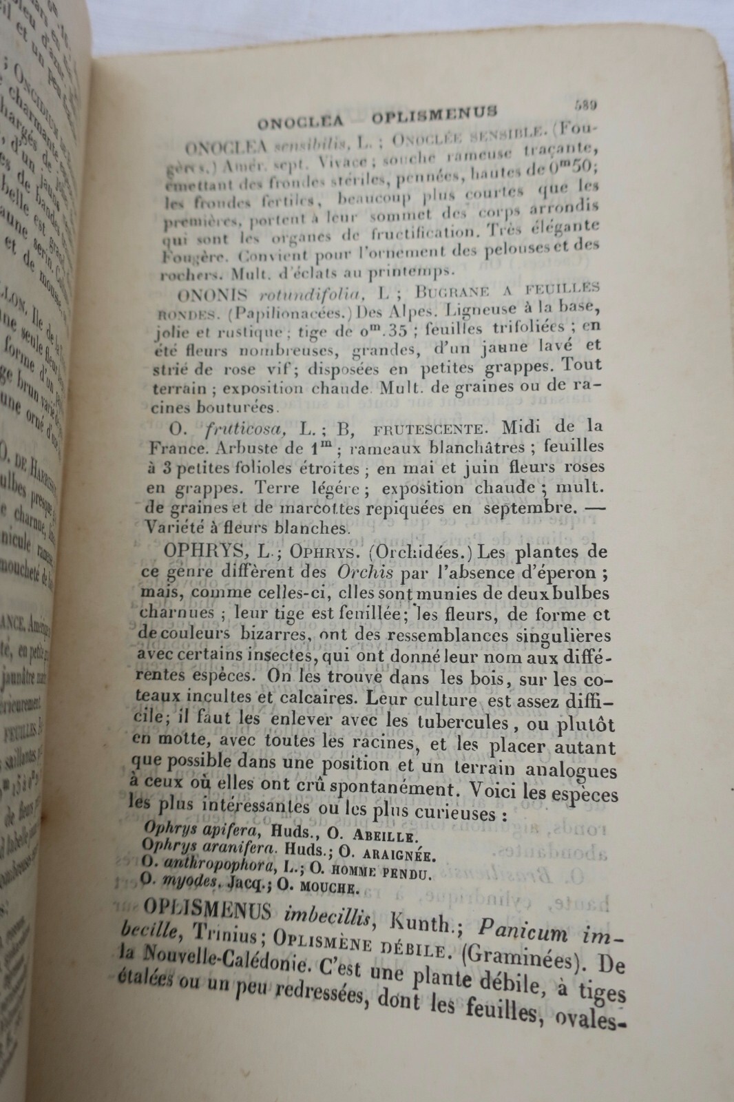 Gartenbau-Almanach für 1889<span class="lla-card-orig-wrap"><span class="lla-card-orig">❦ JARDIN le bon jardinier 1889</span></span> - La Librairie Antique