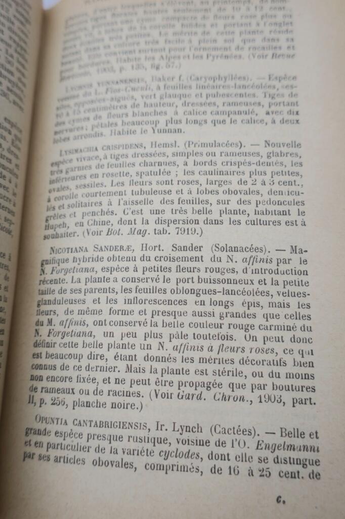 Garten Almanach für 1904