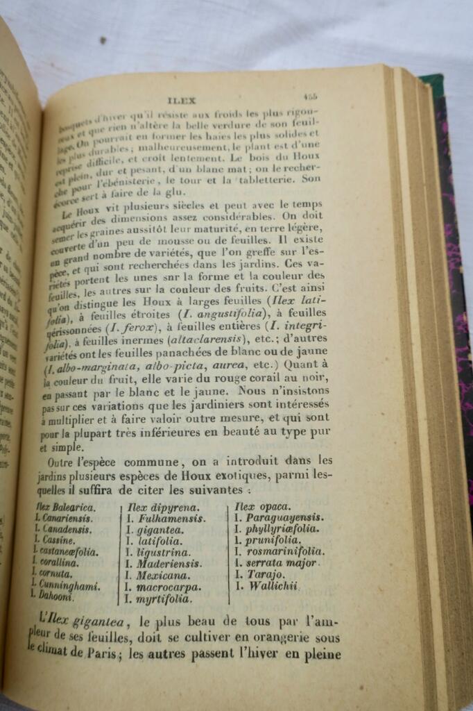 Garten Almanach für 1904