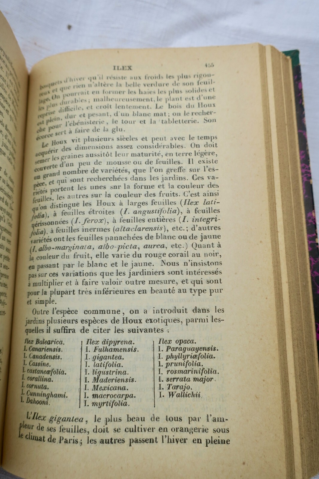 1904年园艺年鉴<span class="lla-card-orig-wrap"><span class="lla-card-orig">❦ JARDIN le bon jardinier 1904</span></span> - La Librairie Antique