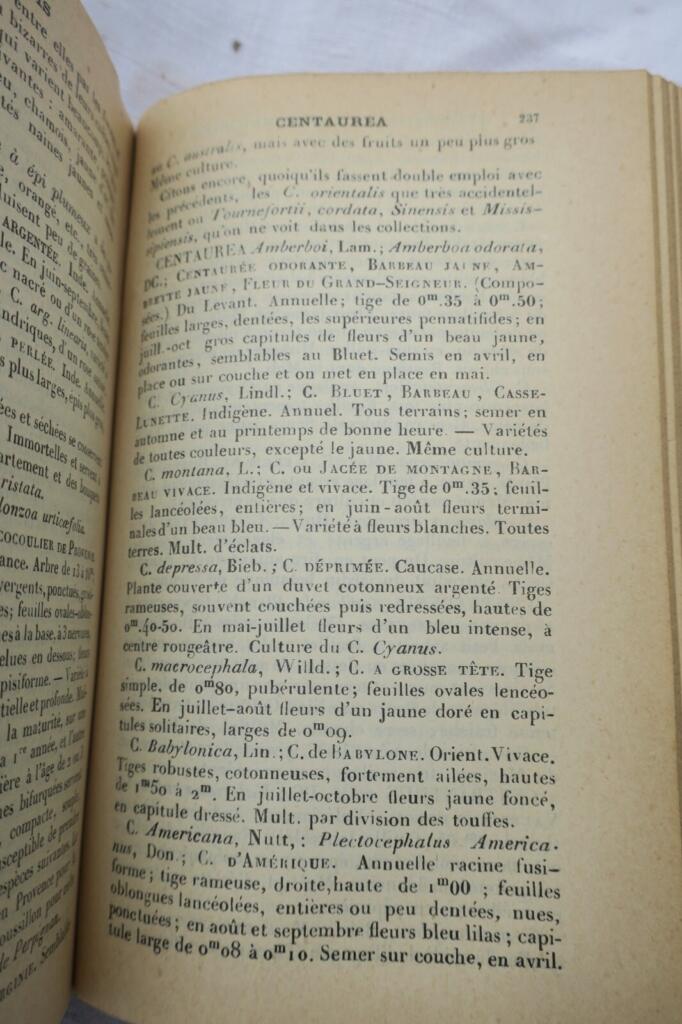 Garten Almanach für 1904