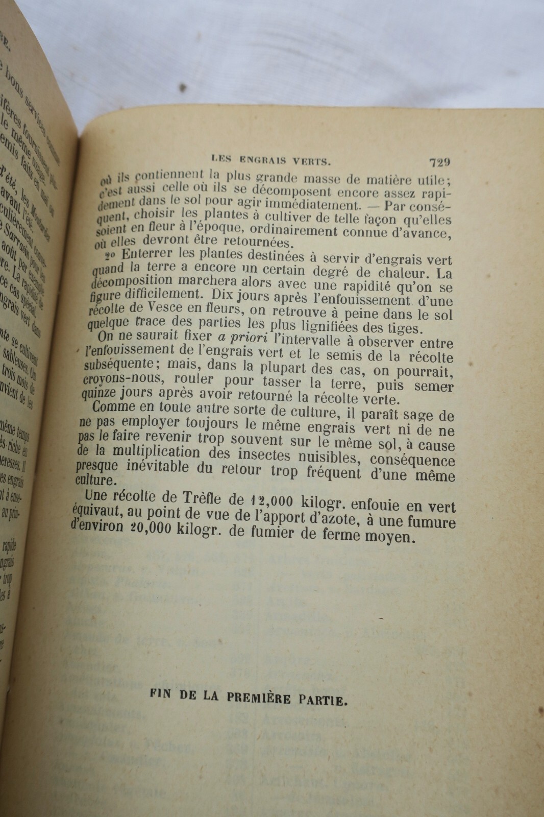 Garten Almanach für 1904 - Image 4