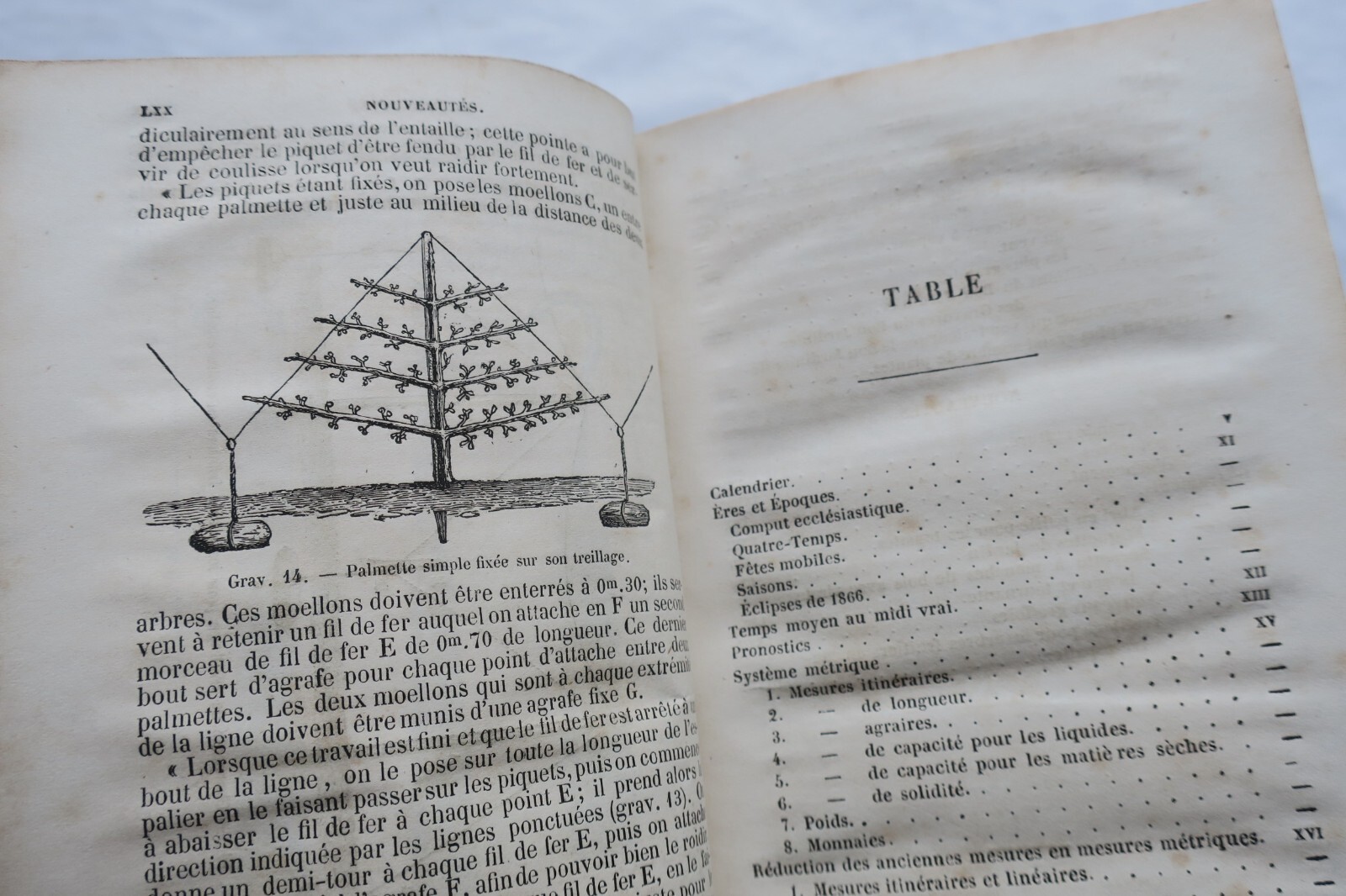 Horticultural Almanac for 1866 - Image 7