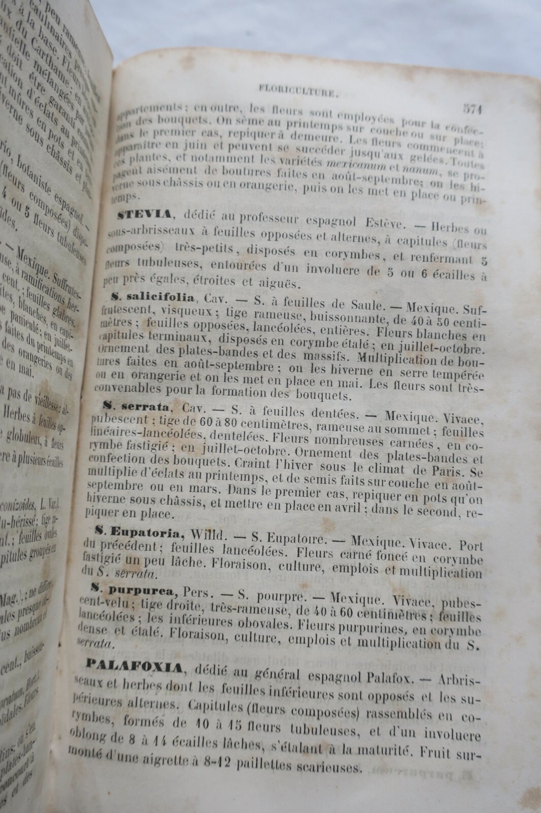 Illustriertes Gartenbau-Handbuch 1865 - Image 3