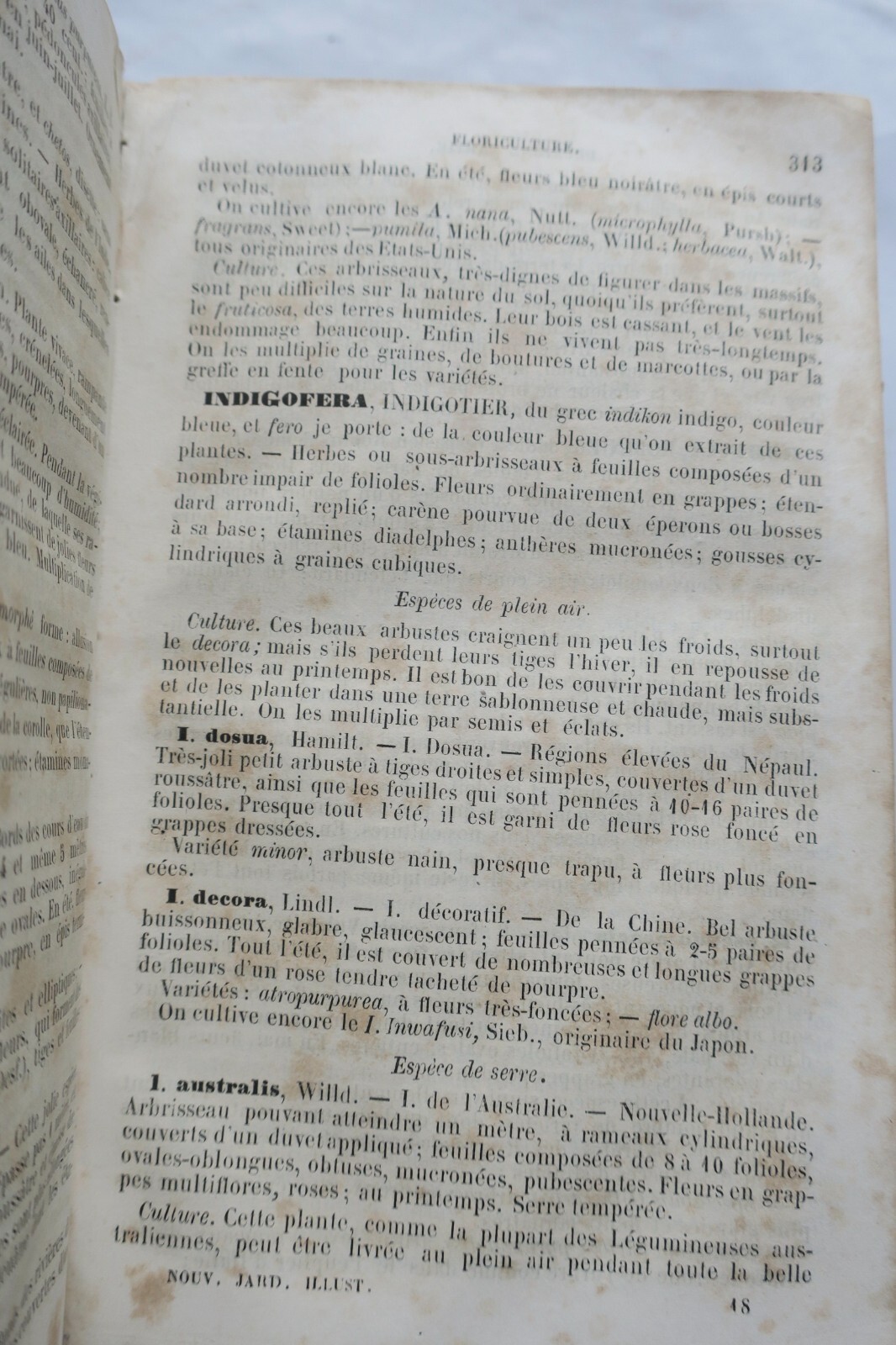 Illustriertes Gartenbau-Handbuch 1865 - Image 4