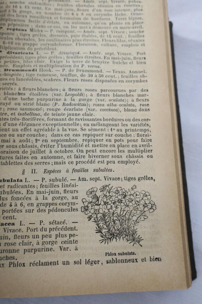 jardin Le nouveau jardinier illustré 1884