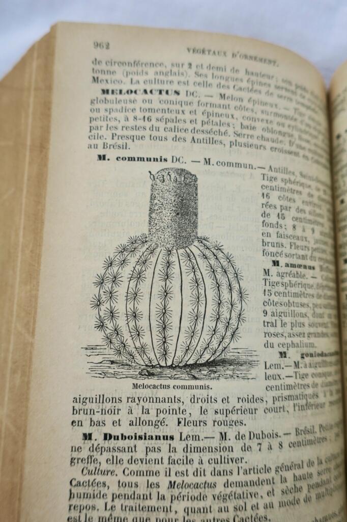 jardin Le nouveau jardinier illustré 1884