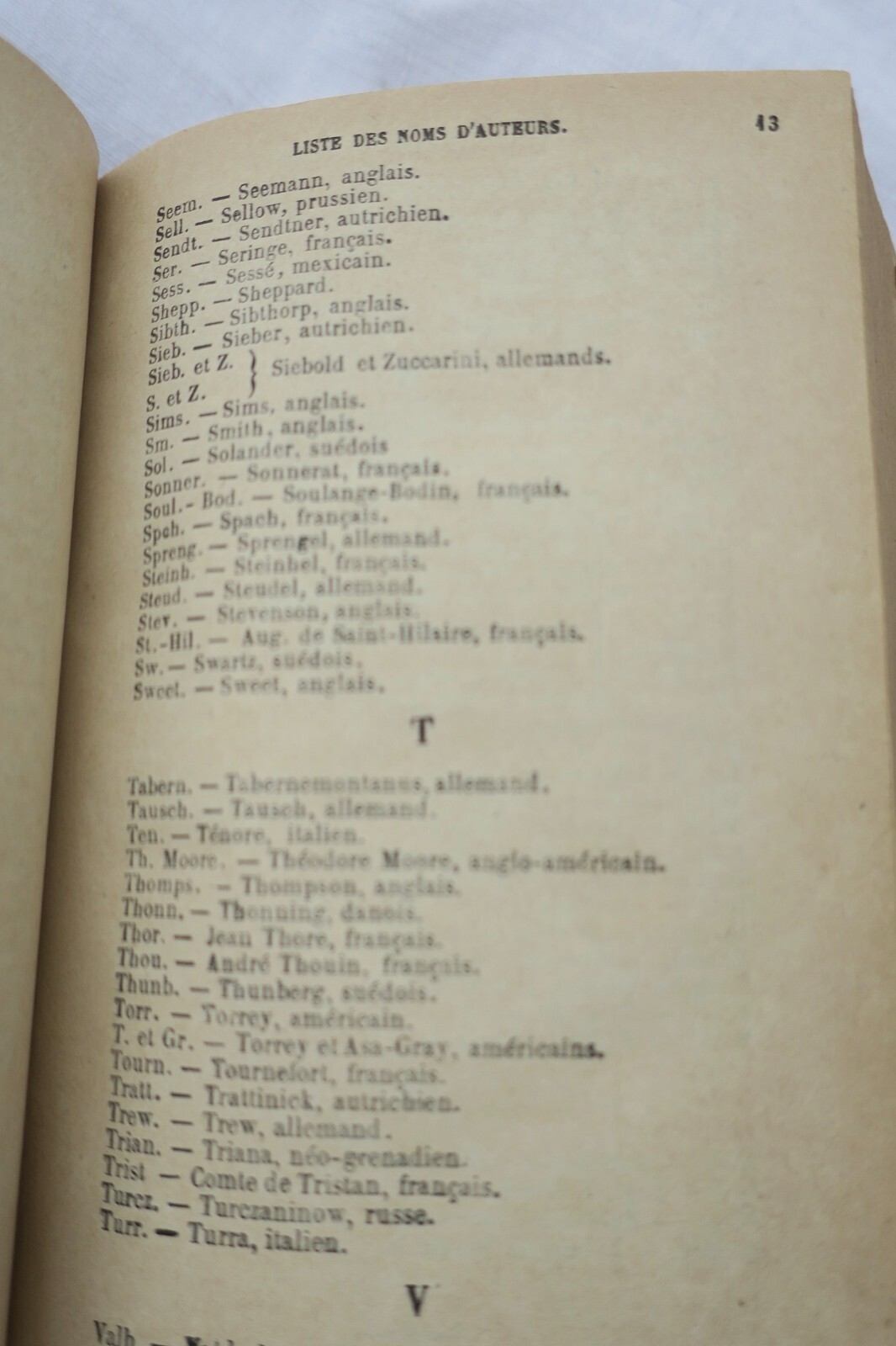 Illustrierter Gartenführer für 1884 - Image 8
