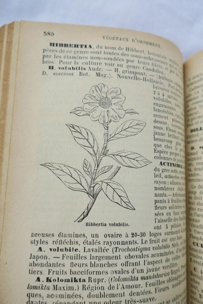 jardin Le nouveau jardinier illustré 1884