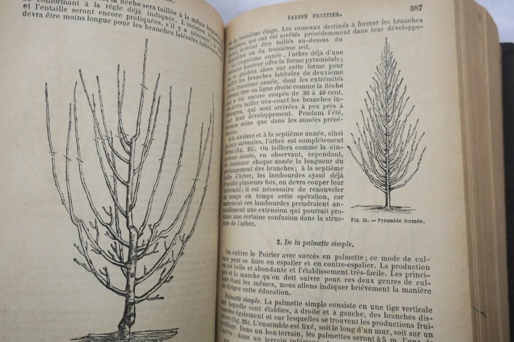 Illustriertes Gartenbuch aus 1884