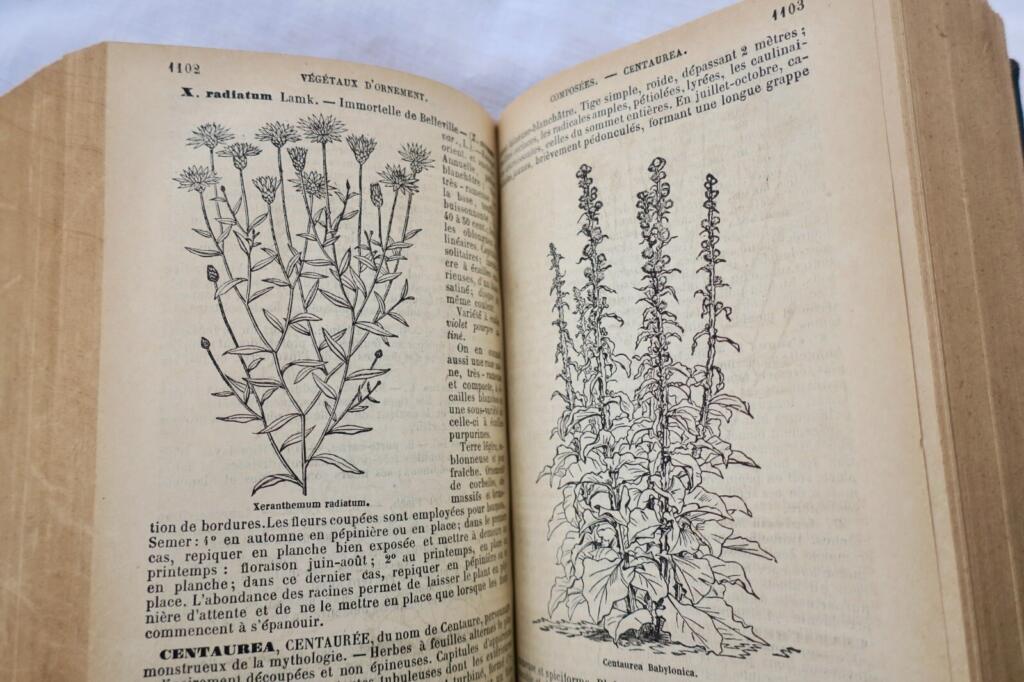Illustriertes modernes Gartenbuch