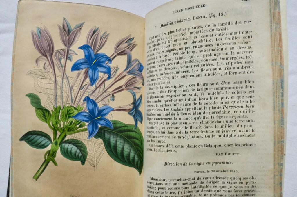Gartenbau-Insights von 1845-1846