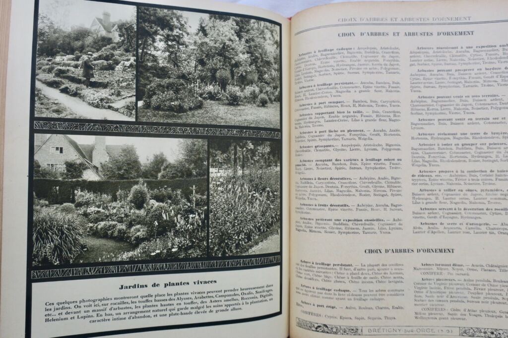 Guide to Gardening Techniques