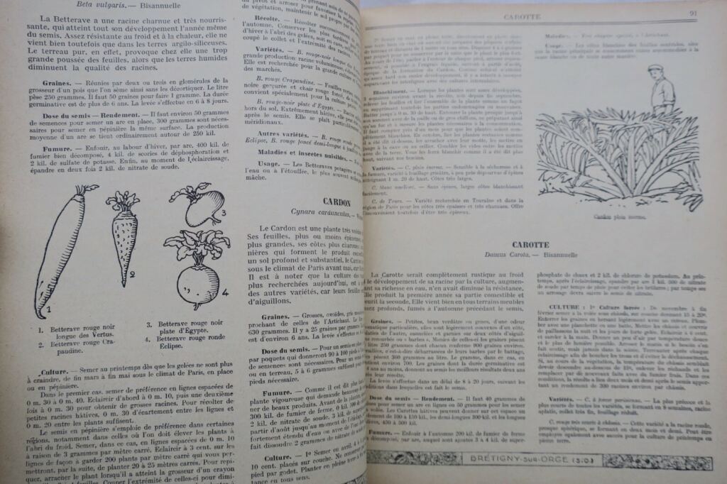 Guide to Gardening Techniques